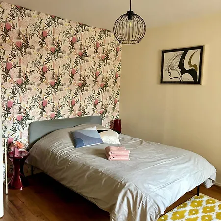 Fleure De Ly / Superb Flat In Old Town Apartment Metz
