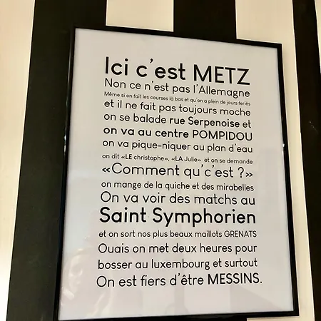 Fleure De Ly / Superb Flat In Old Town メス