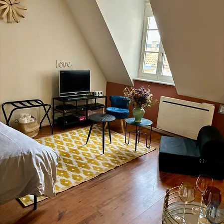 Fleure De Ly / Superb Flat In Old Town Lejlighed Metz