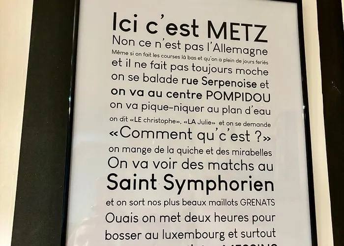 Fleure De Ly / Superb Flat In Old Town Μετς